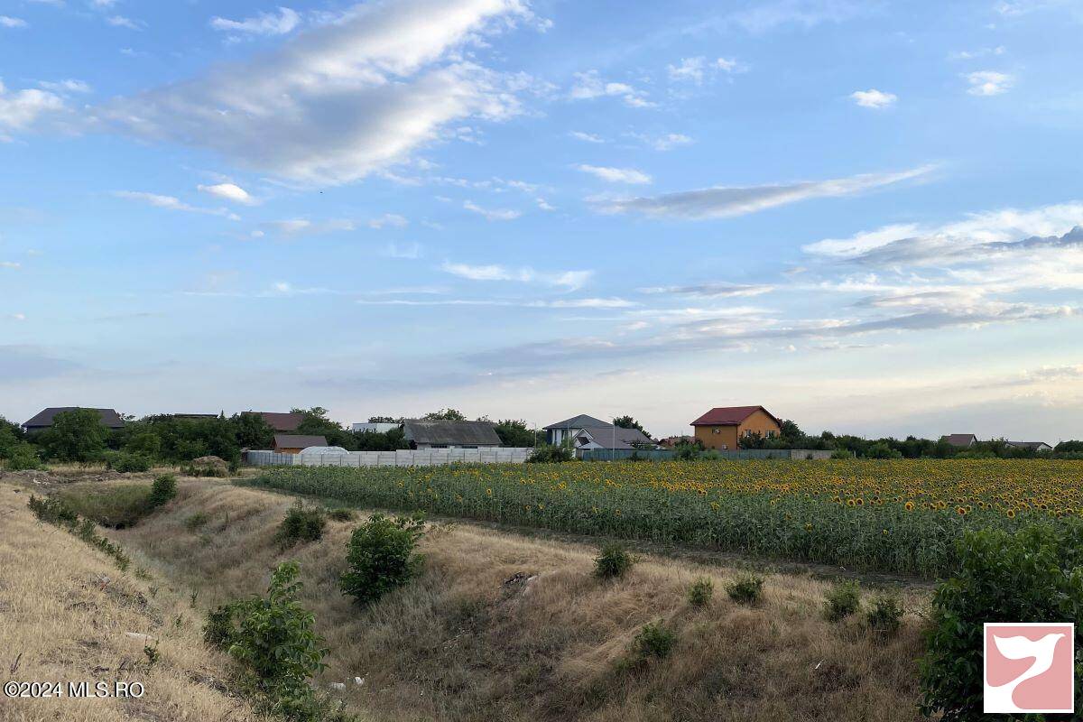 Teren vanzare, in Buftea, Buftea, 12824 mp