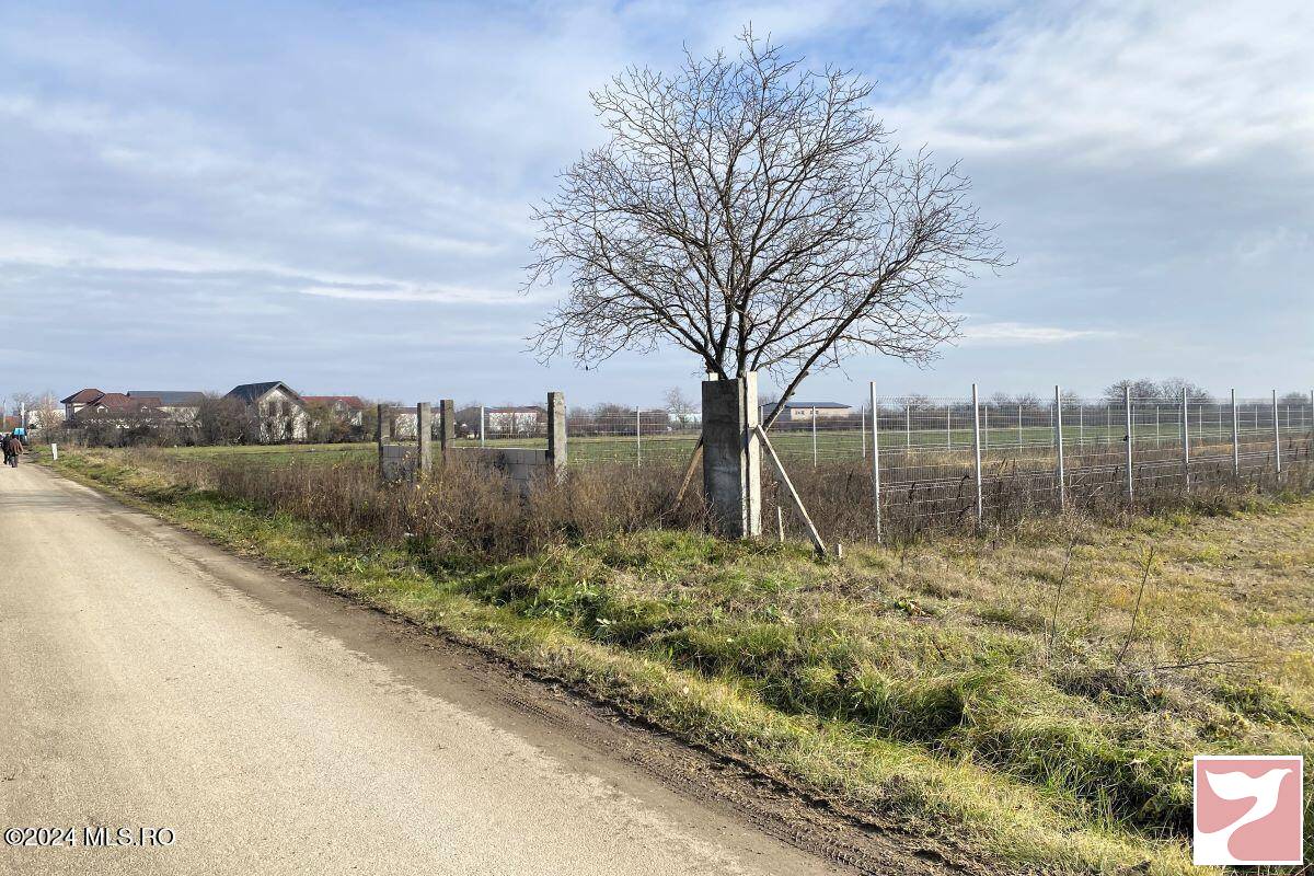 Teren vanzare, in Afumati, Afumati, 2409 mp