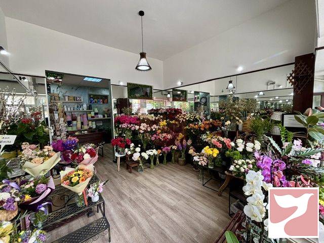 Investitie - Spatiu comercial ultracentral, inchiriat cu 900 Euro
